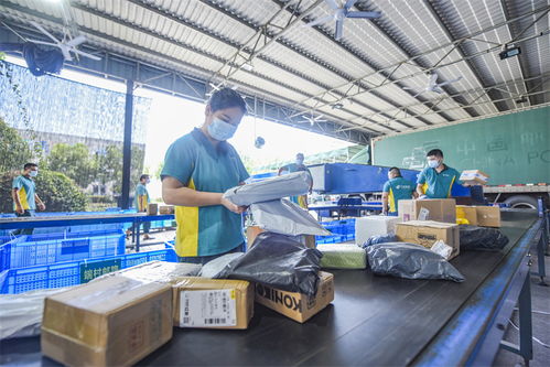 武義農村電商 從“個富”到“共富”，商品房代購代銷開辟鄉村振興新路徑