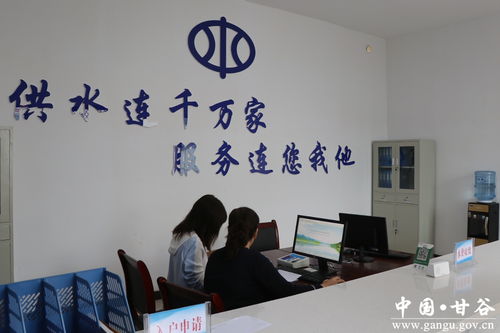 甘谷縣西北部農村飲水安全工程供水站鄉鎮管理分站正式揭牌運行