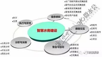 智慧水務建設實踐 專家視角與企業工程管理服務探索